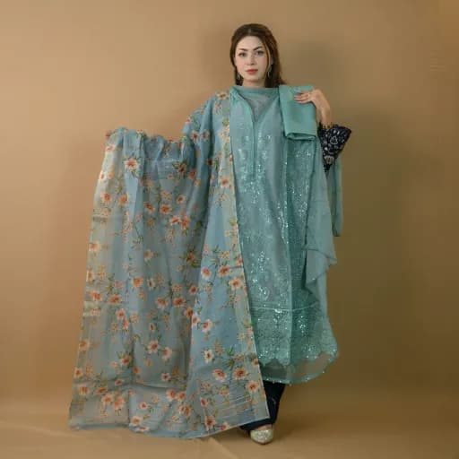 Pastel Blue Semi Stitch Embroidered Chiffon Salwar Kameez C-9130